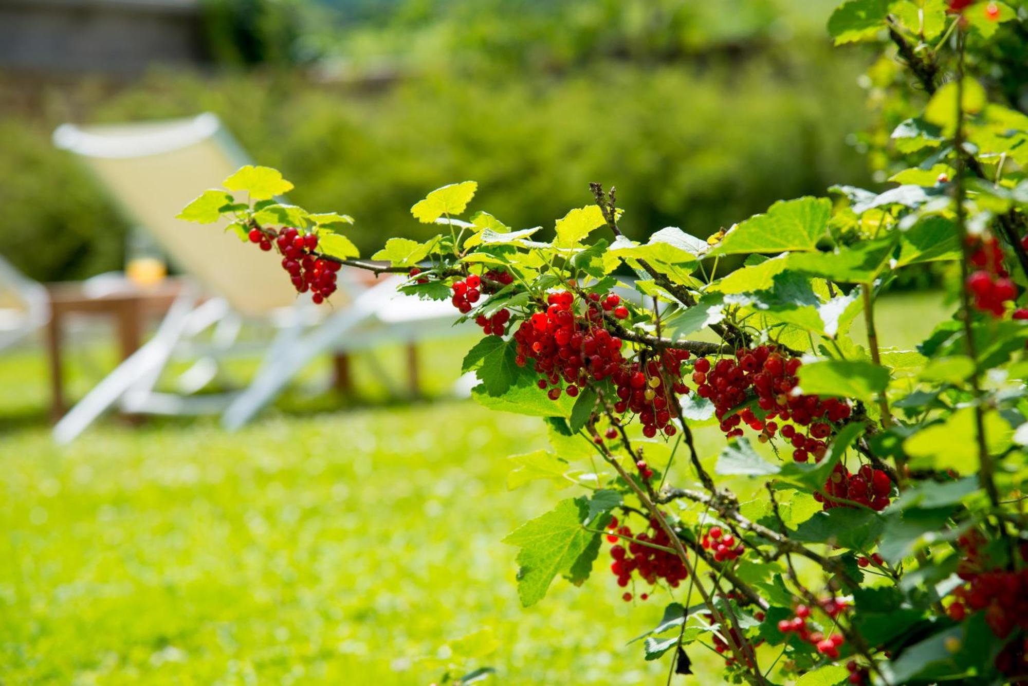 Le Logis D'Aze Bed & Breakfast Bagian luar foto